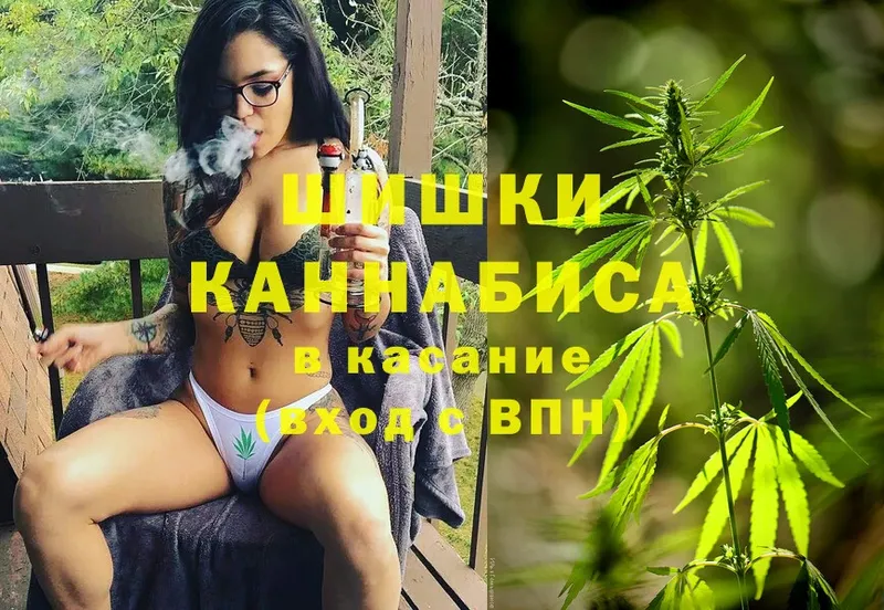 где купить наркоту  Петровск  Шишки марихуана White Widow 